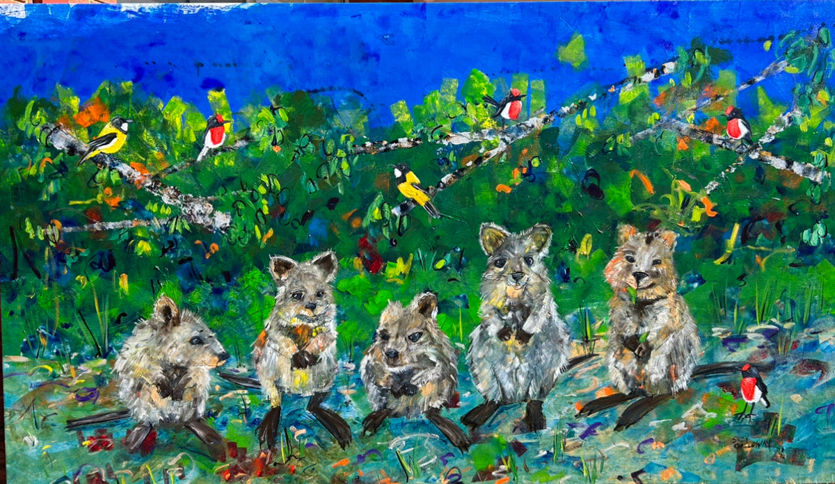 Quokka Line up SOLD