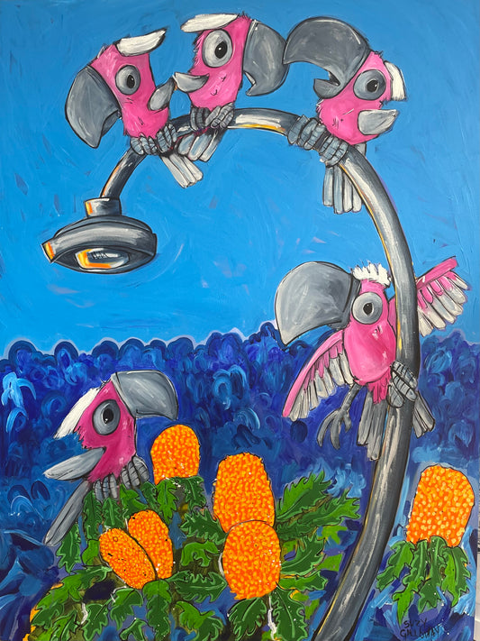 Pink and Grey Galah lamp post